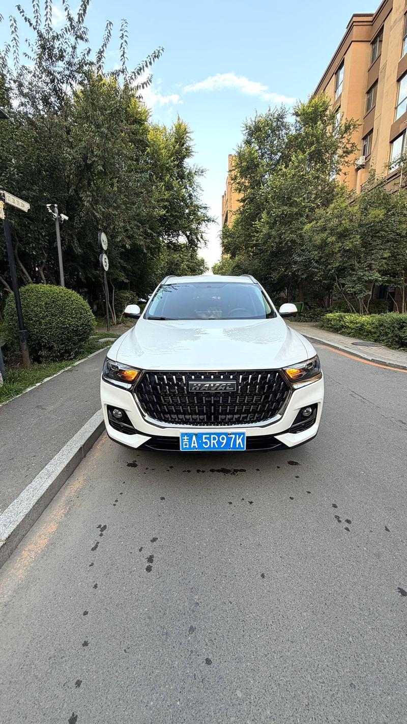 Haval H6, 2023 — фото 2 из 8