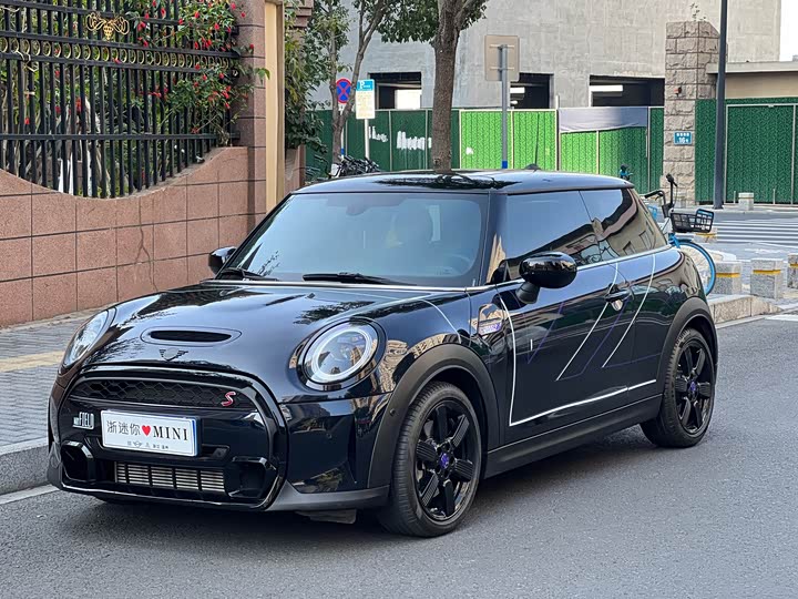 Mini Mini, 2024 — купить в Туле под ключ
