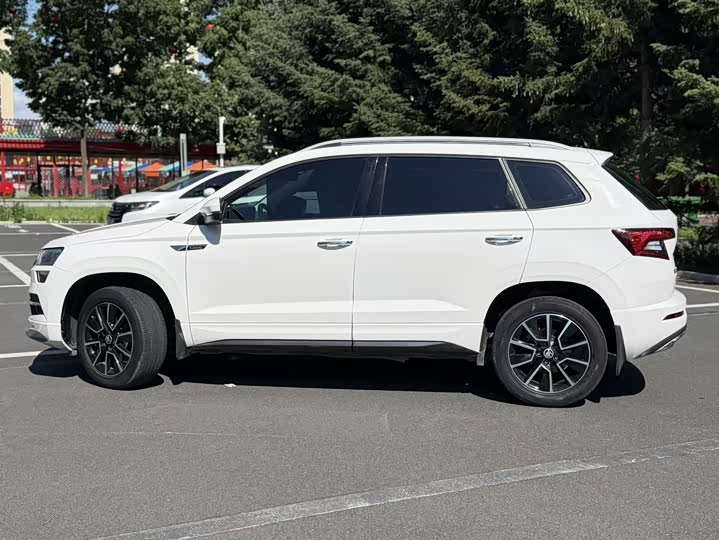 Skoda Karoq, 2022 — фото 9 из 9