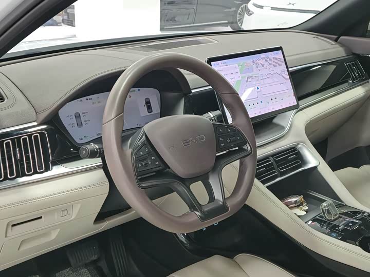 BYD Song Plus Hybrid/EV, 2024 — фото 8 из 9