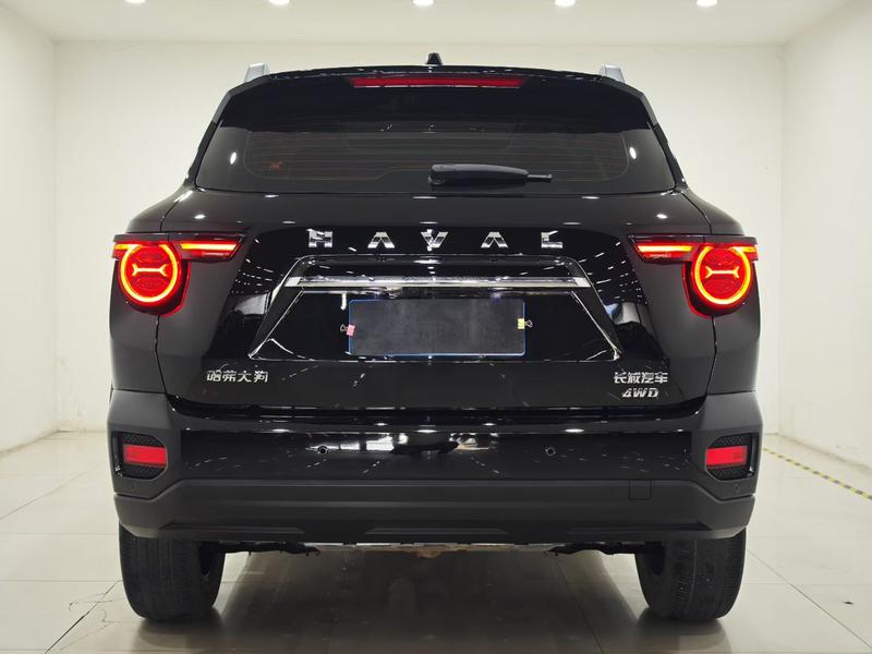 Haval H-Dog, 2023 — фото 5 из 10