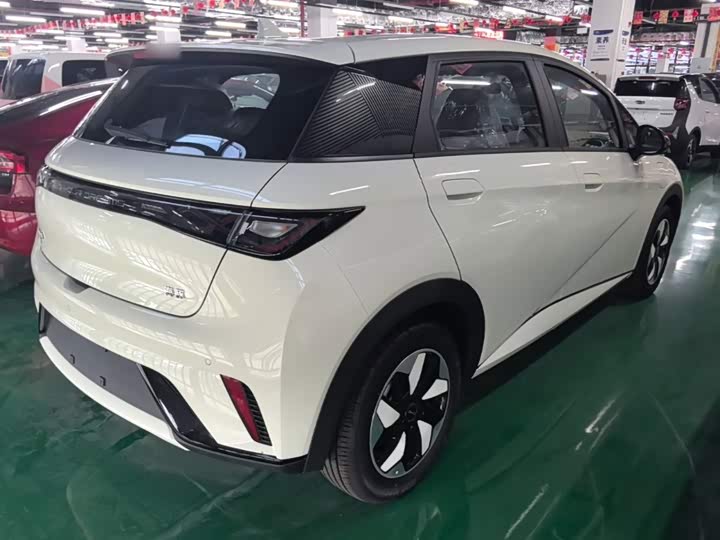 BYD Dolphin, 2026 — фото 7 из 9