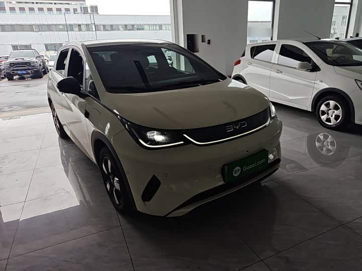 BYD Dolphin, 2025 — фото 4 из 9