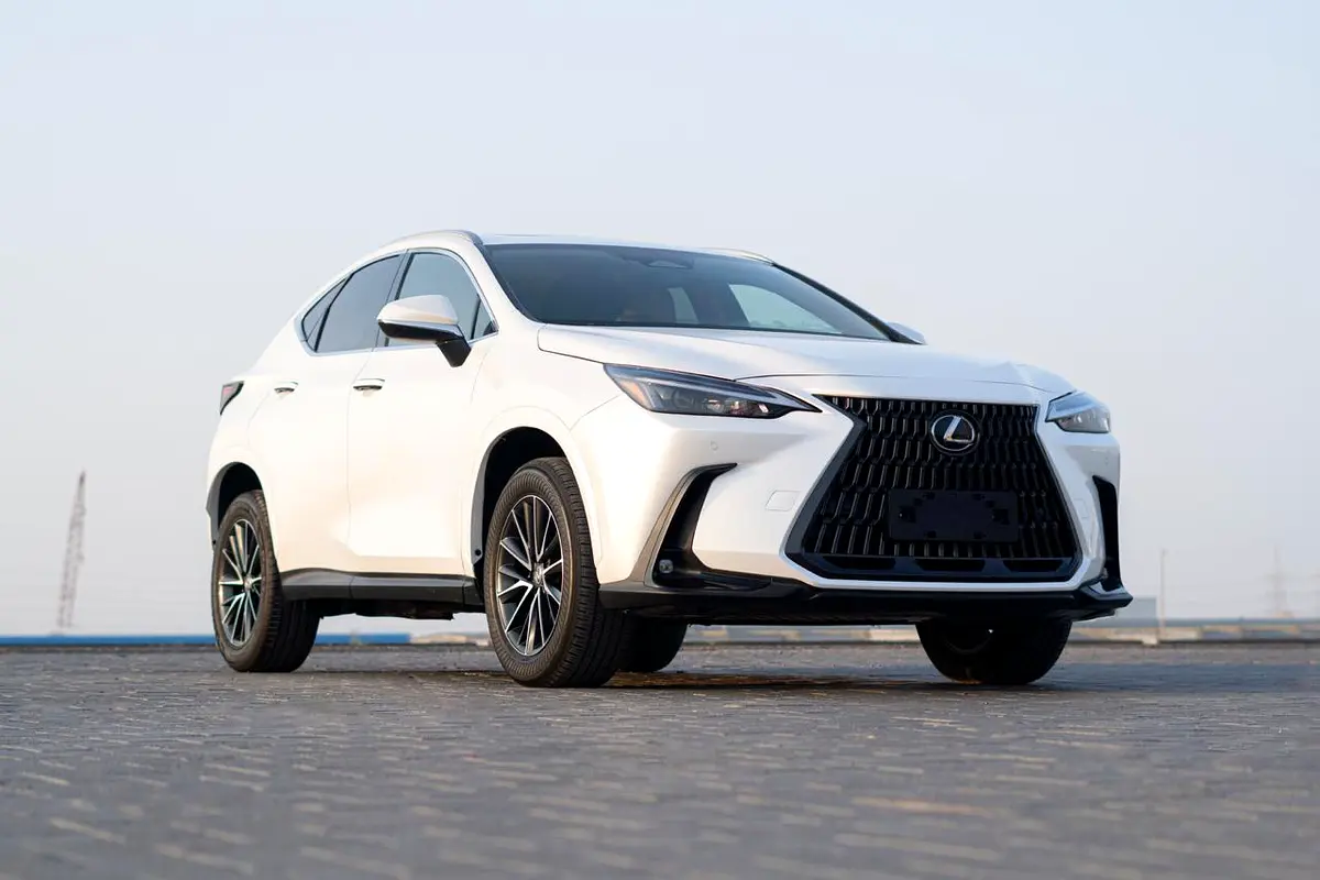 Lexus NX-Series, 2024 — фото 2 из 10
