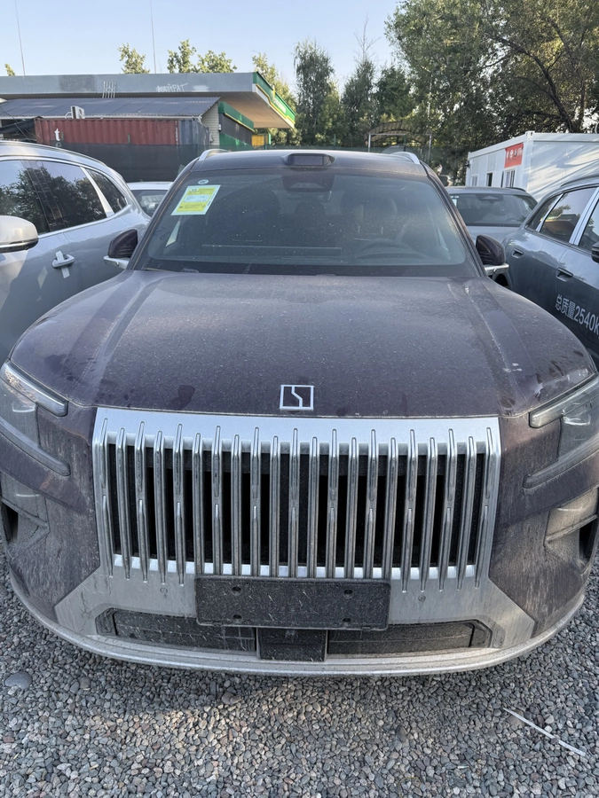 Zeekr 8X, 2026