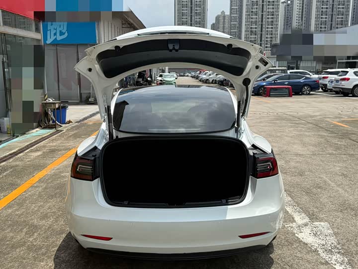 Tesla Model 3, 2021 — фото 6 из 9