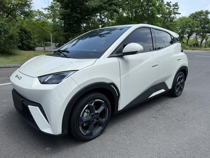 BYD Seagull, 2023 — купить в Самаре под ключ