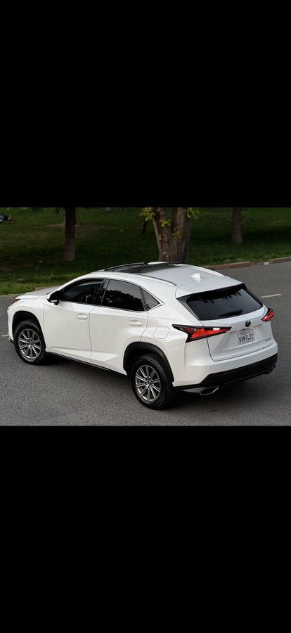 Lexus NX, 2021 — фото 8 из 12