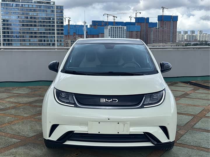 BYD Dolphin, 2024 — фото 2 из 9