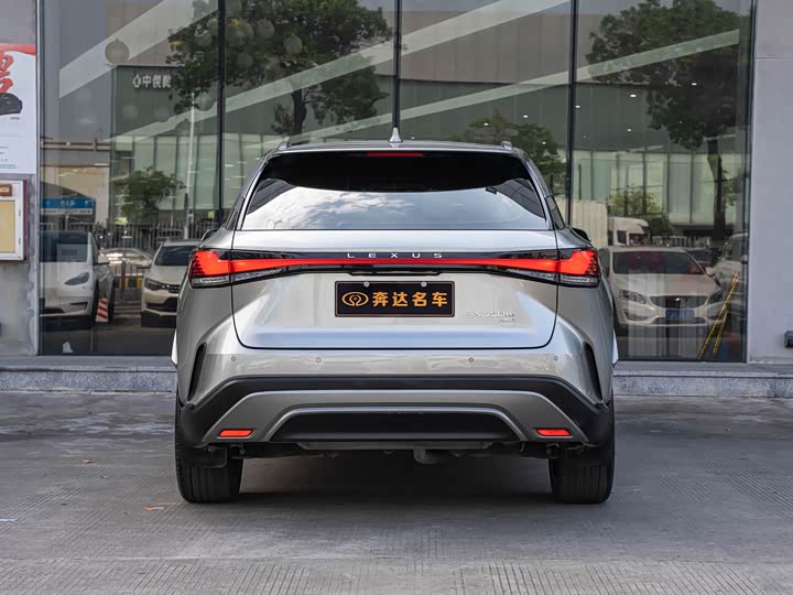 Lexus RX Hybrid, 2023 — фото 5 из 9