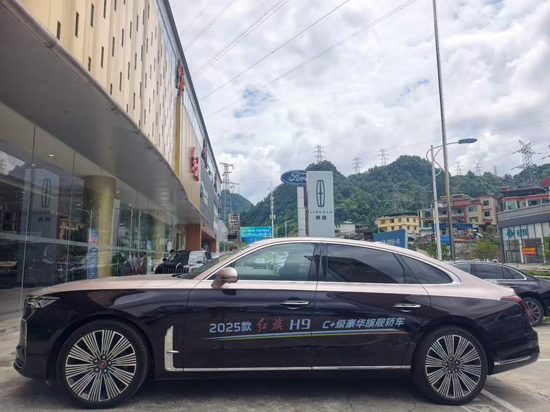 Hongqi H9, 2025 — фото 4 из 9