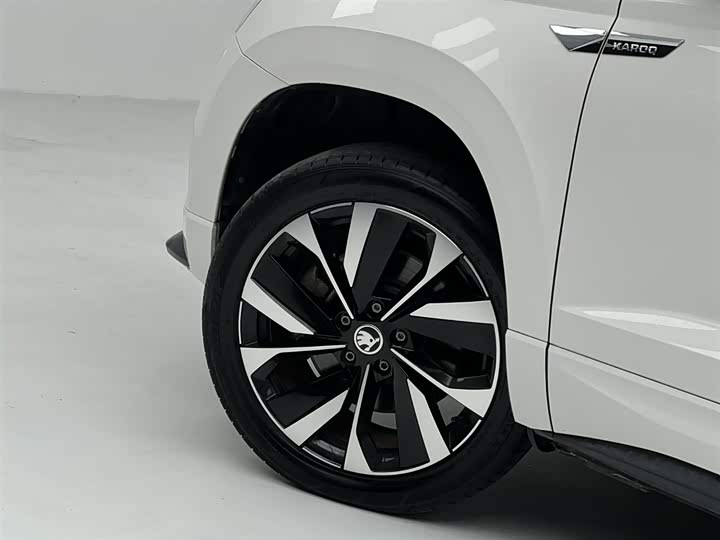 Skoda Karoq, 2021 — фото 6 из 9