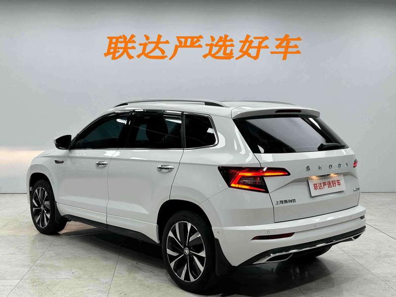 Skoda Karoq, 2023 — фото 4 из 12