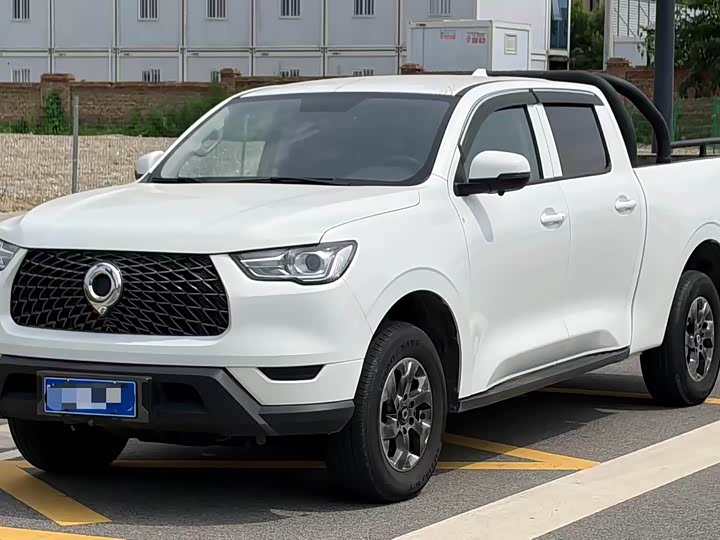 Great Wall Pao, 2022 — купить в Ижевске под ключ