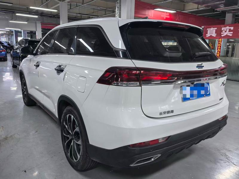 Changan Oshan X7 Plus, 2024 — фото 4 из 11