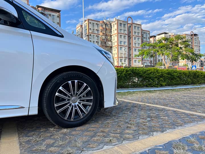 GAC Trumpchi M8, 2021 — фото 8 из 12