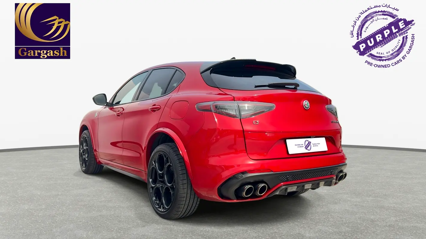 Alfa Romeo Stelvio, 2025 — фото 5 из 10