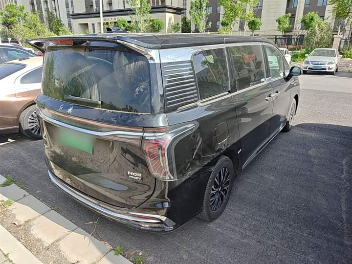 Hongqi HQ9 Hybrid, 2024 — фото 7 из 9