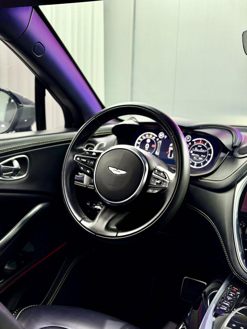 Aston Martin DBX, 2022 — фото 9 из 12