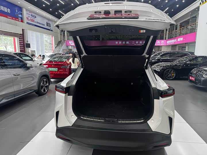 Lexus RZ, 2023 — фото 7 из 9
