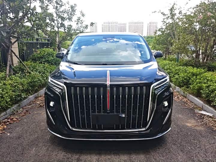 Hongqi HQ9 Hybrid, 2024 — фото 3 из 9