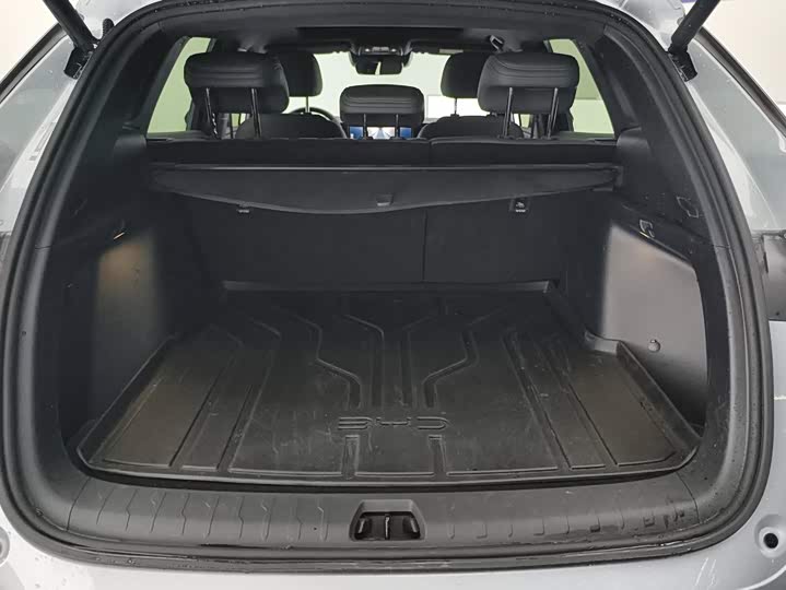 BYD Song L DM-i Hybrid, 2025 — фото 4 из 9