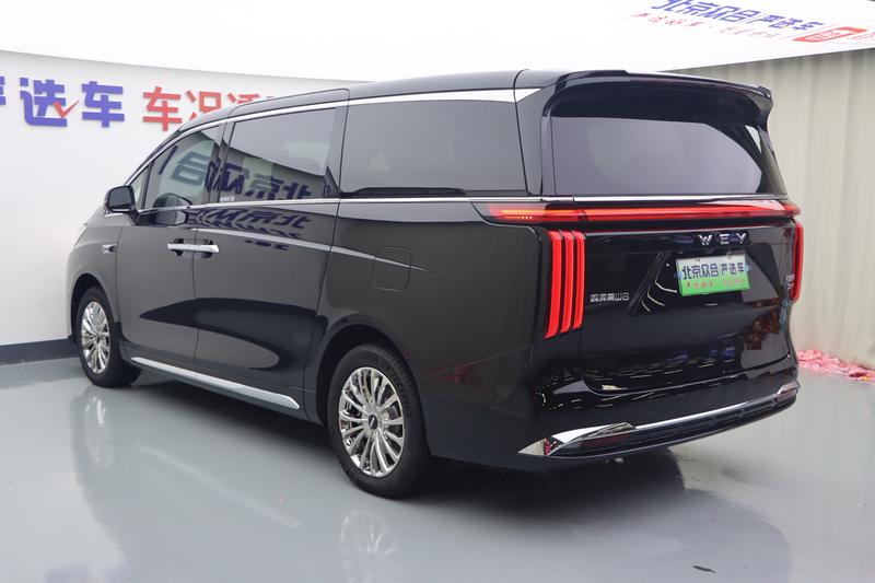 Wey 80 Hybrid, 2025 — фото 4 из 12