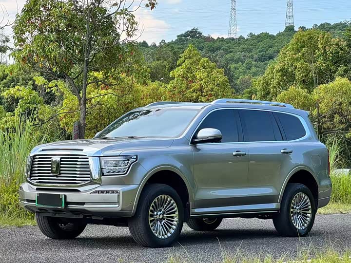 Tank 500 Hybrid, 2024 — купить в Самаре под ключ