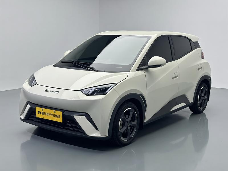 BYD Seagull, 2023 — купить в Самаре под ключ