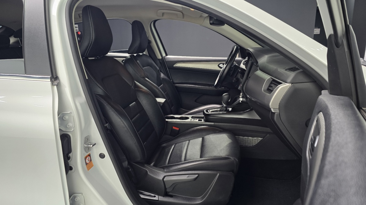 Renault XM3, 2022 — фото 6 из 12