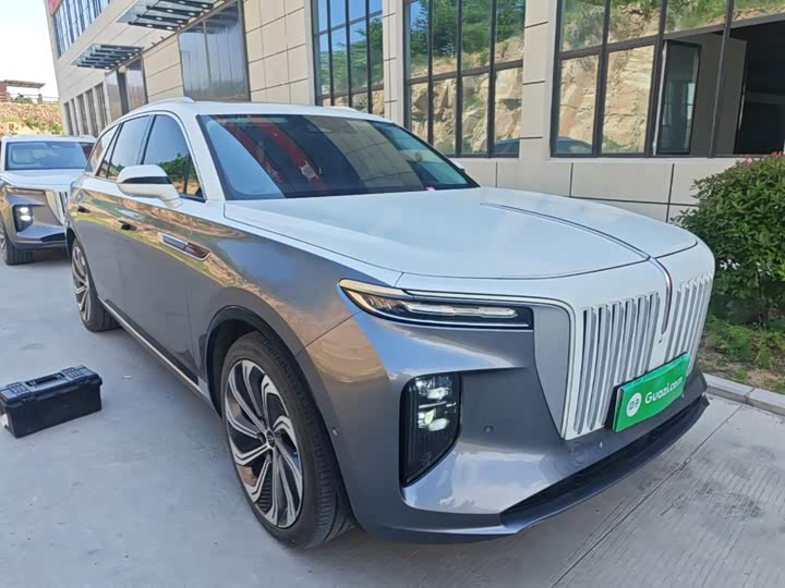 Hongqi E-HS9, 2023 — фото 4 из 9