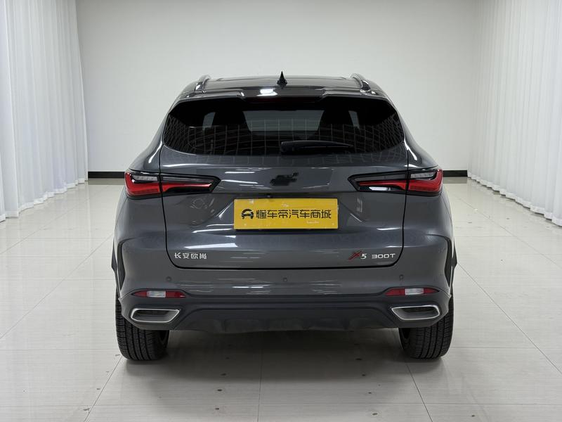 Changan Oshan X5, 2021 — фото 6 из 12