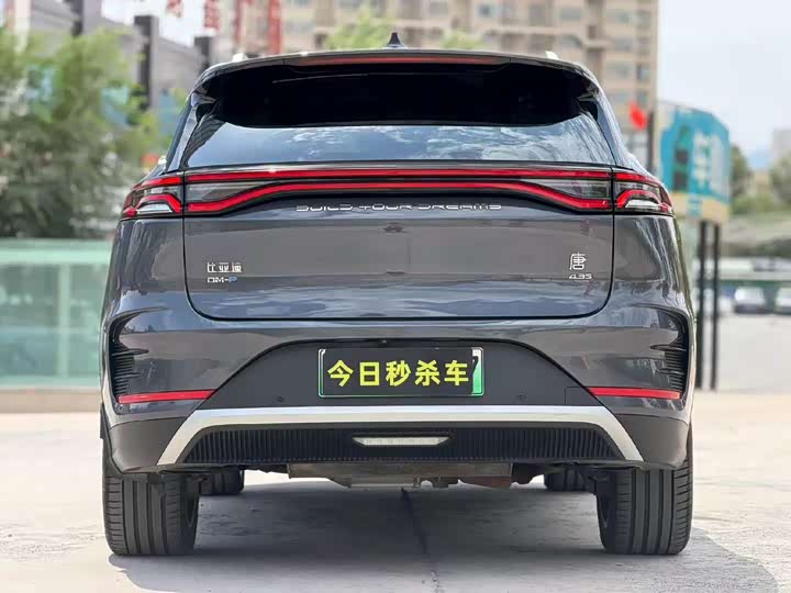 BYD Tang Hybrid/EV, 2022 — фото 8 из 9