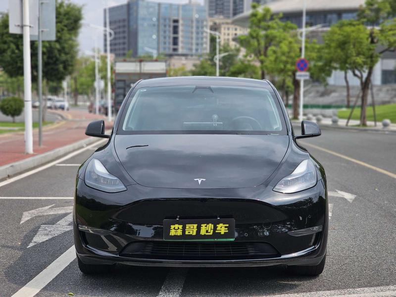 Tesla Model Y, 2022 — фото 2 из 12