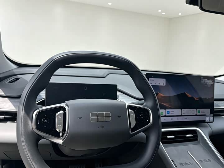 Geely Galaxy L6, 2024 — фото 9 из 9