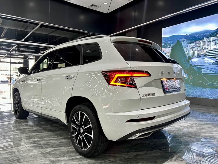 Skoda Karoq, 2024 — фото 7 из 9