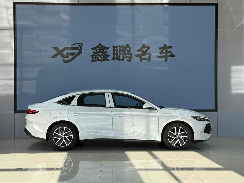 BYD Qin L, 2025 — фото 8 из 12