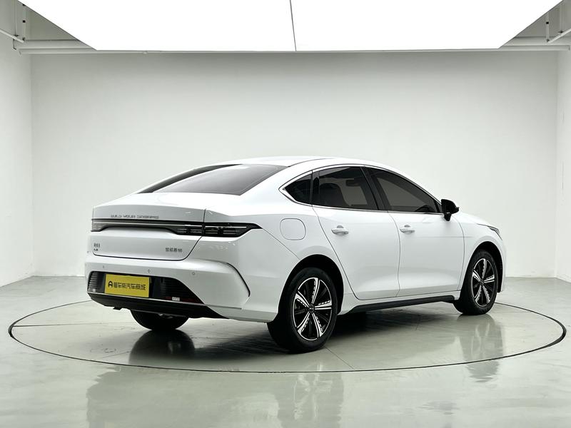 BYD Destroyer 05, 2023 — фото 7 из 12