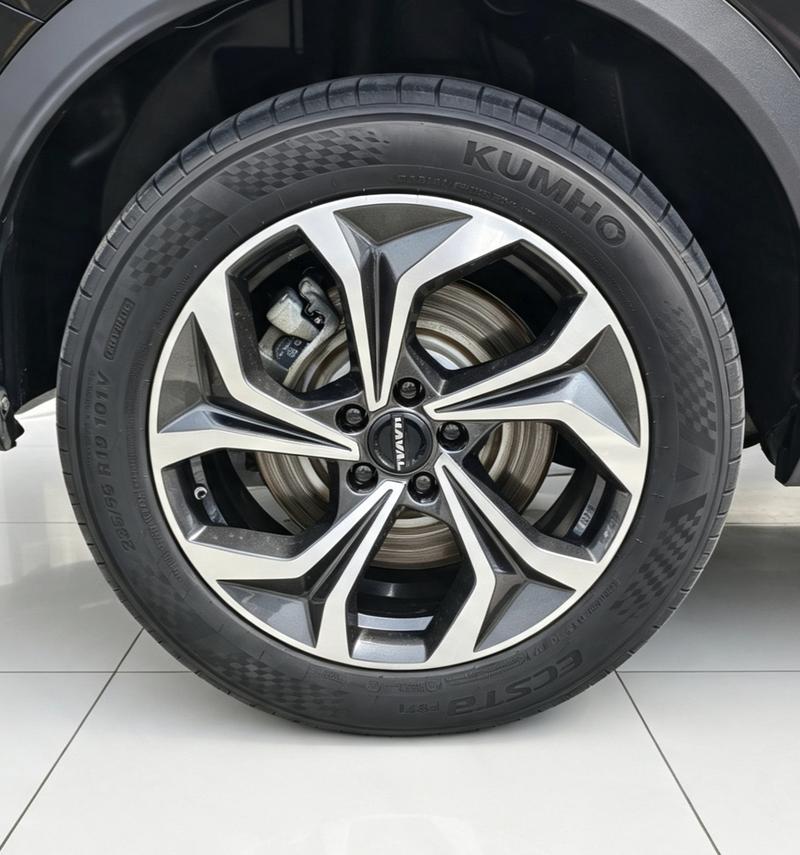 Haval Ruge Max, 2023 — фото 7 из 12