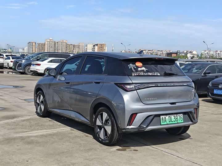 BYD Dolphin, 2023 — фото 6 из 9