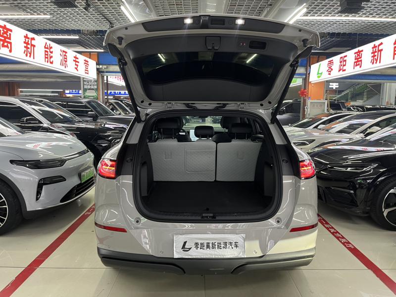 BYD Sea Lion 06 Hybrid/EV, 2025 — фото 11 из 12