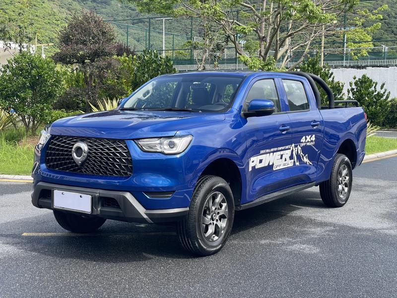 Great Wall Pao, 2022 — купить в Брянске под ключ