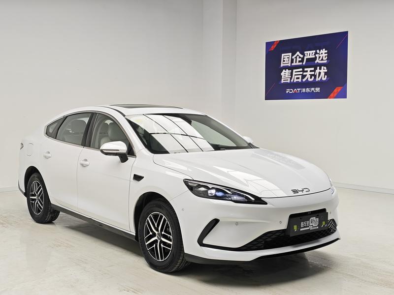 BYD Seal 05 DM-i Hybrid, 2024 — фото 3 из 12