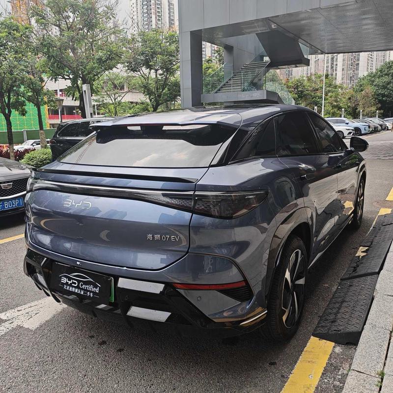 BYD Sea Lion 07 EV, 2024 — фото 4 из 11