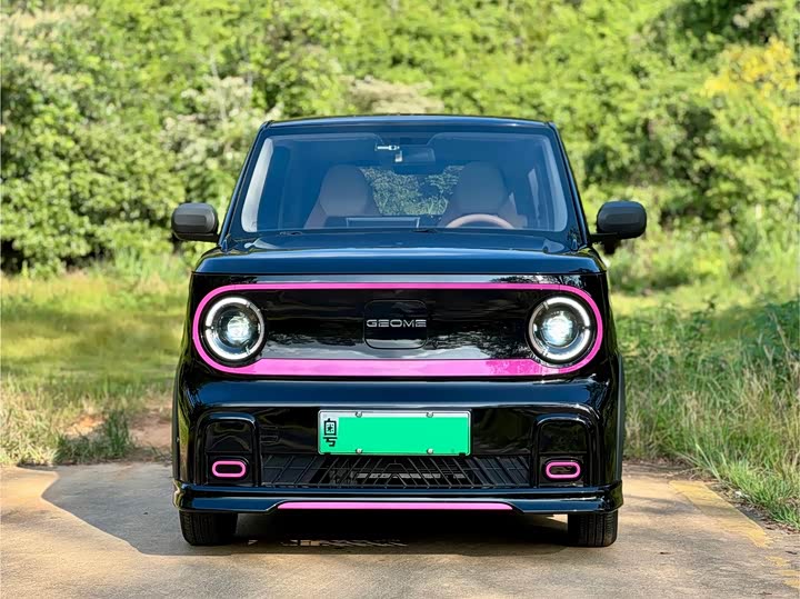 Geely Galaxy Panda Mini, 2024 — фото 2 из 9