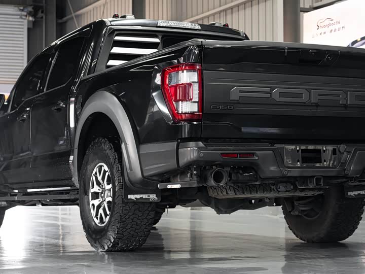 Ford F-150 Raptor, 2023 — фото 7 из 9