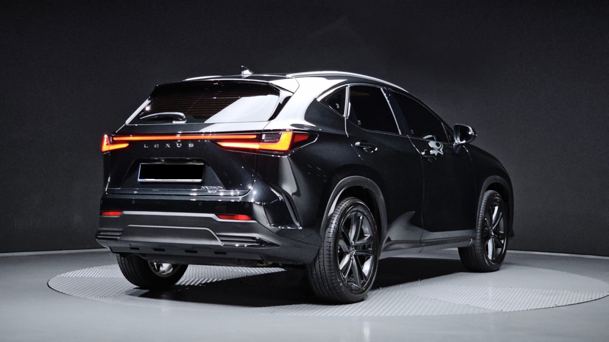 Lexus NX, 2025 — фото 2 из 12