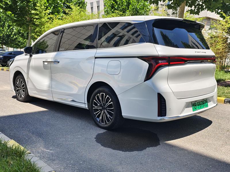 Dongfeng Forthing Xinghai V9, 2024 — фото 4 из 12