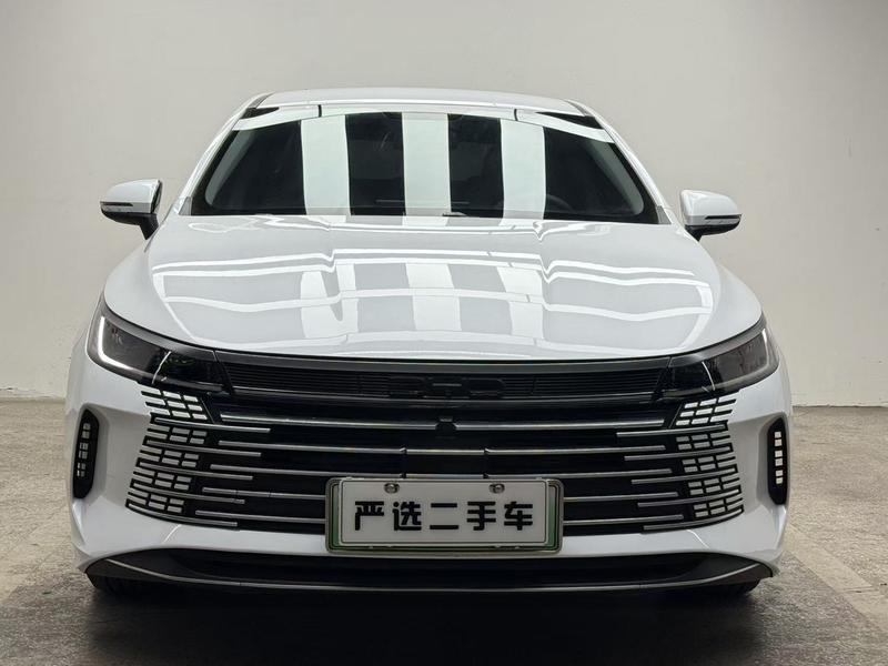 BYD Destroyer 05, 2024 — фото 2 из 12