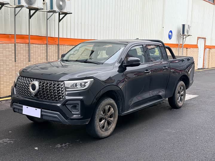 Great Wall Pao, 2023 — купить в Владимире под ключ